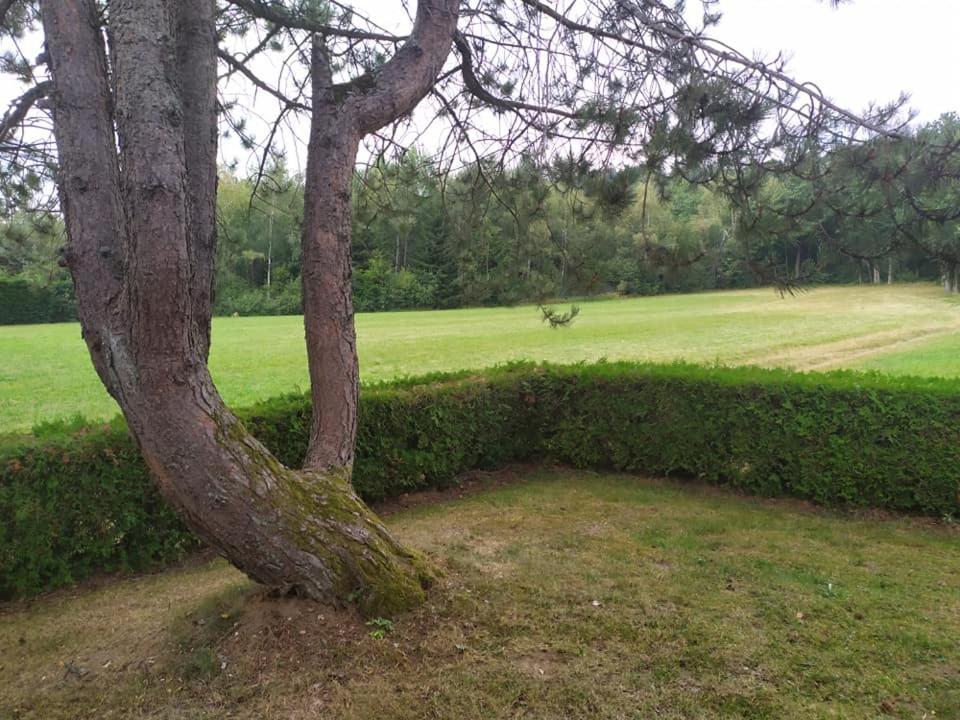 Chalet Du Spiemont Champdray Zewnętrze zdjęcie